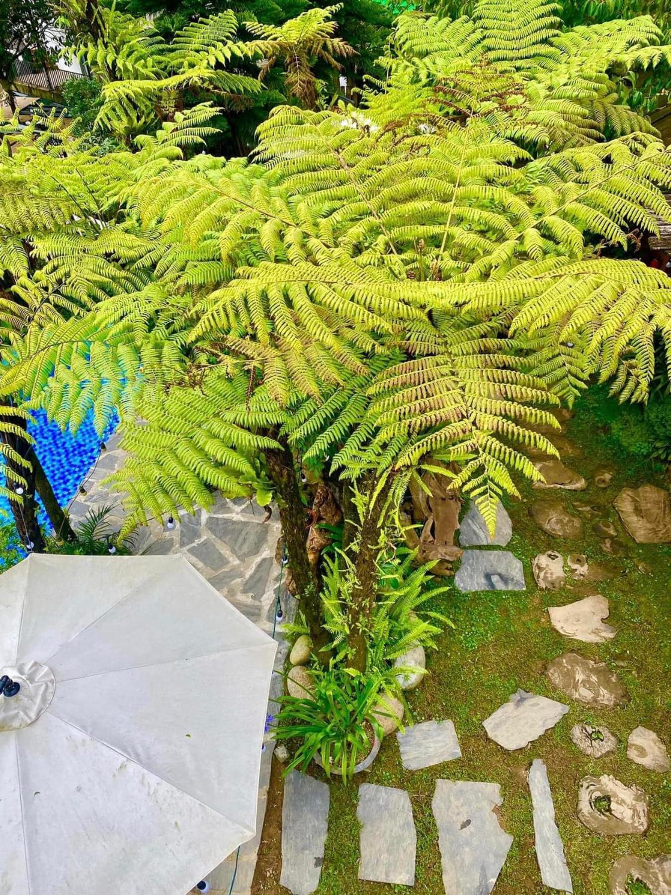 Love House Homestay Sapa Exteriér fotografie